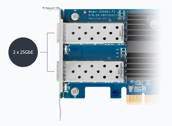 Synology E25G21-F2 2